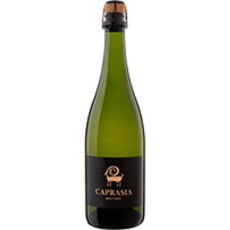 CAVA CAPRASIA Brut Nature Reserva (75cl) Hispaania KPN kvaliteetvahuvein alc.11,5% vol